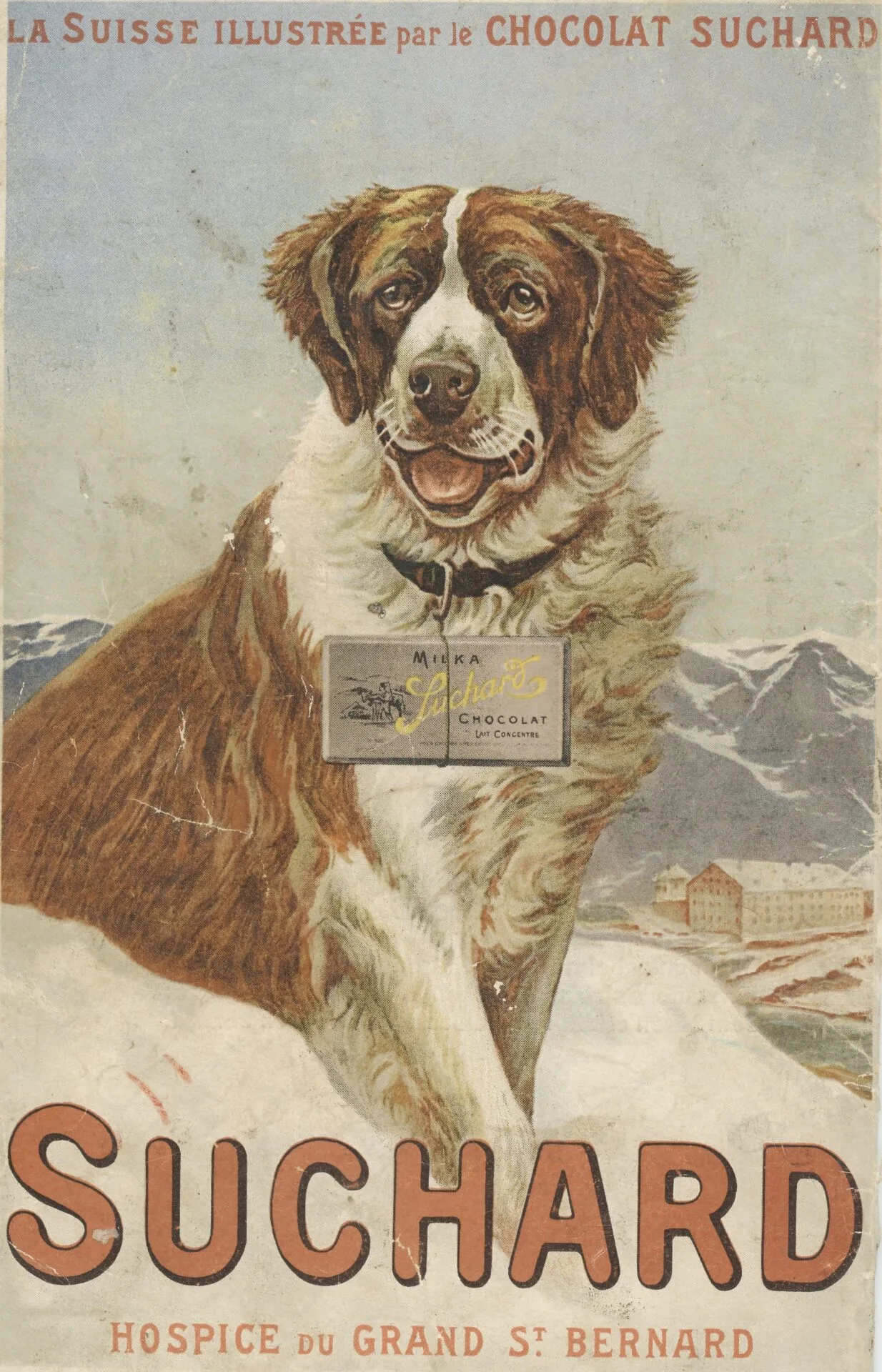 1_Suchard Bernhardiner©Puclic History Food_Dominik Flammer