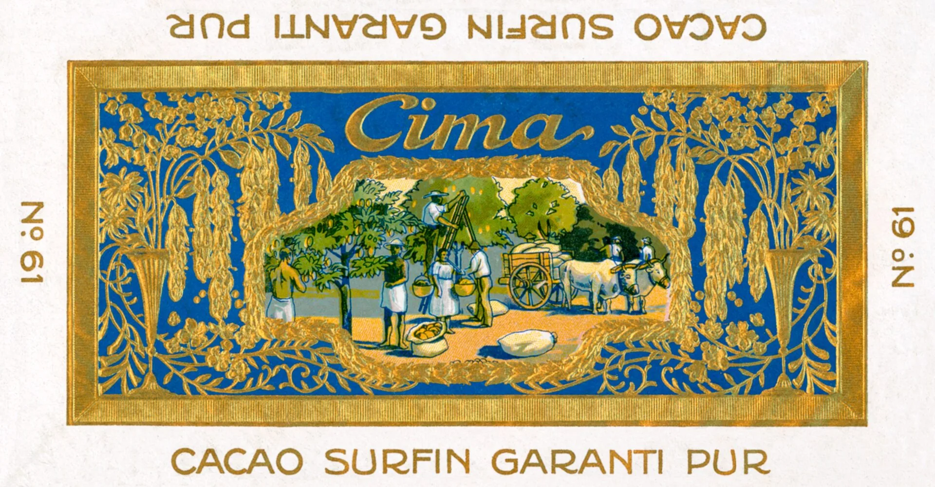 6_Cima Norma_Ettichette_data inizio 1900